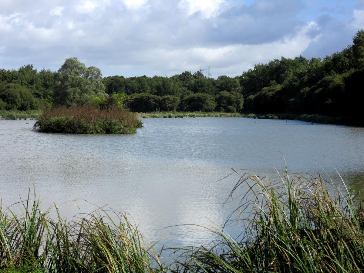Louresse-Rochemenier Parc De Launay المظهر الخارجي الصورة